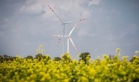 zielona energia