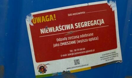 segregacja kary