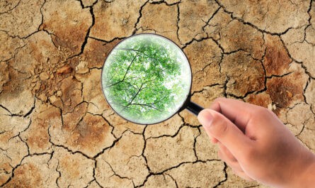 prawo klimatyczne, Zielona transformacja do 2050 roku może dać gospodarce 10 bilionów dolarów, zielona transformacja