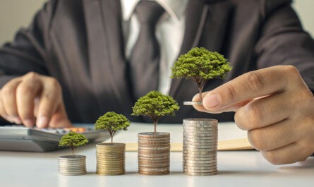 Liderzy ESG, Zielone Finanse w Polsce