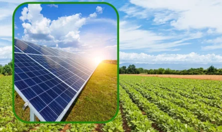 AgroPV