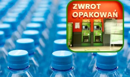 Deloitte analizuje system kaucyjny